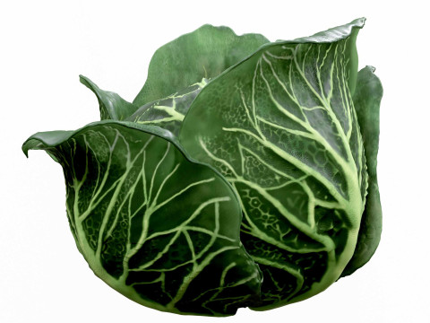 Cabbage Modelo 3D