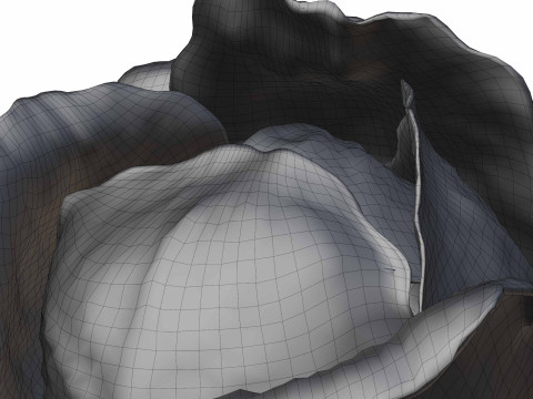 Cabbage Modelo 3D