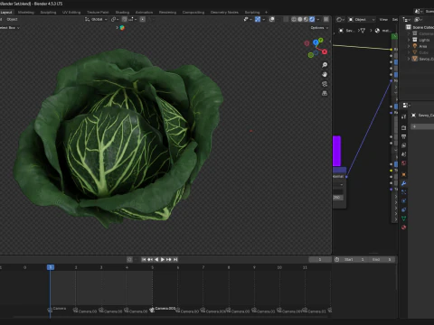 Cabbage 3D Model