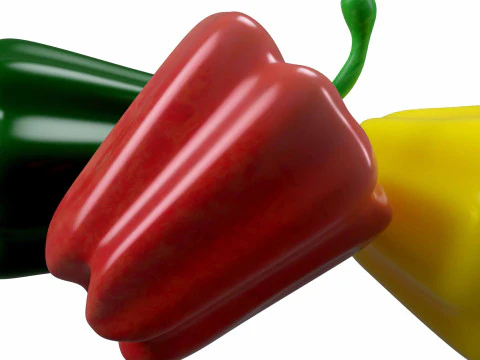 Capsicum 3D Model