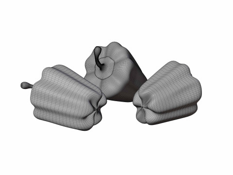 Capsicum Modèle 3D