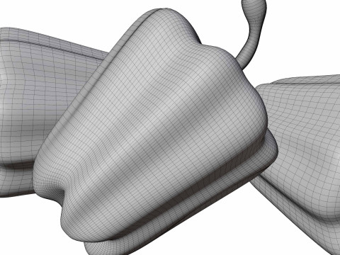 Capsicum Modèle 3D