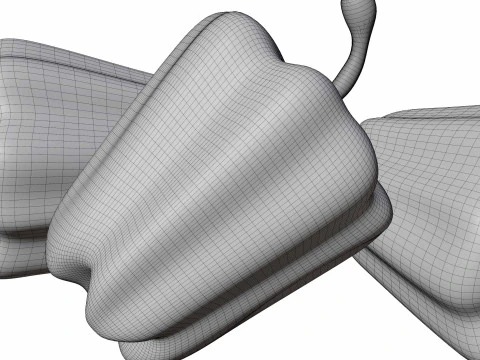 Capsicum 3D Model