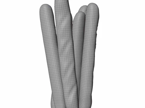 Pane francese Modello 3D