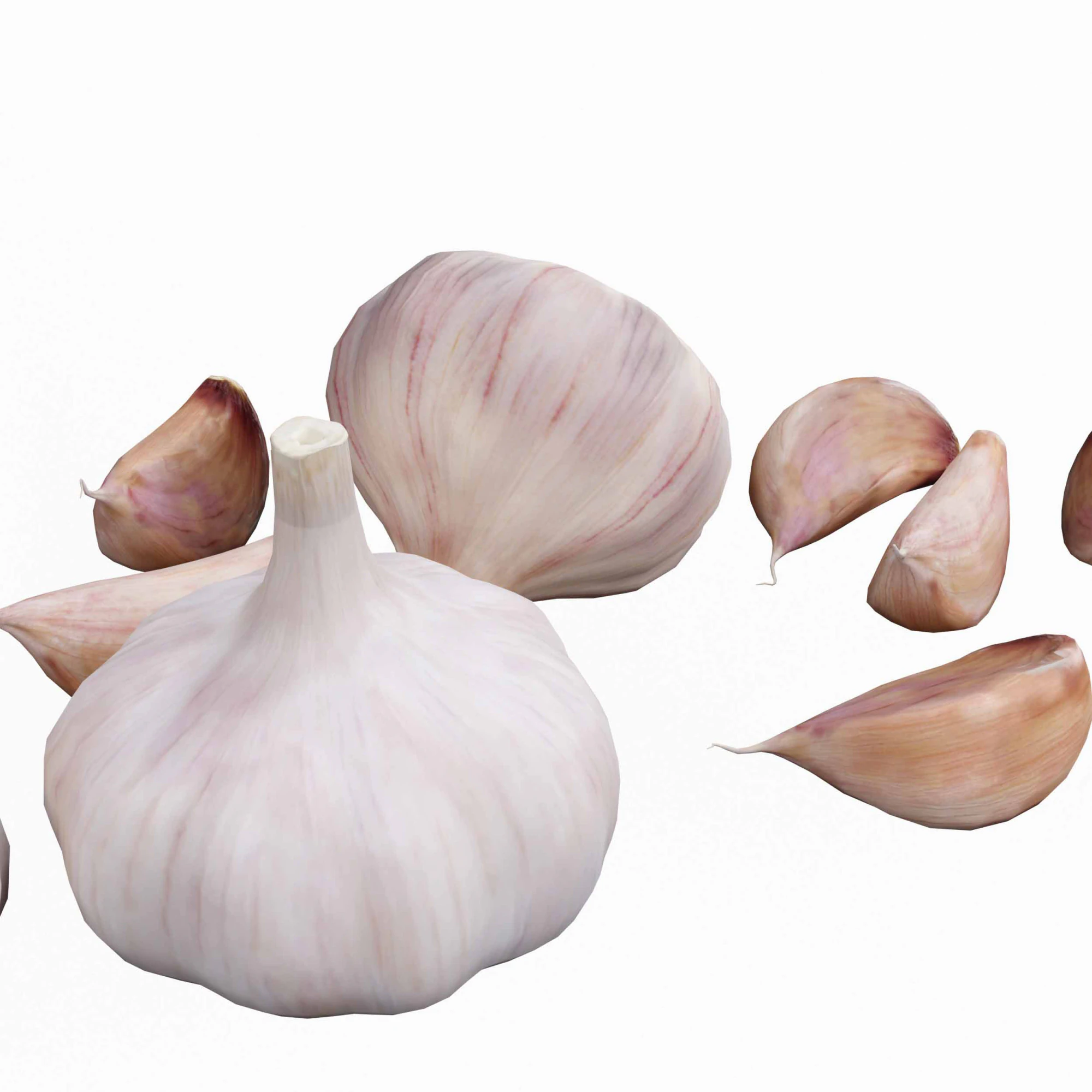 Garlic full and half both 3D Model .c4d .max .obj .3ds .fbx .stl .blend 
