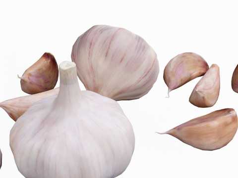 Garlic full and half both 3D Modell