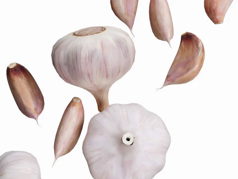 Garlic full and half both 3D Model