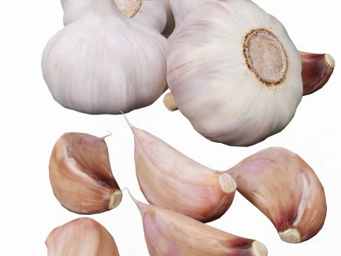 Garlic full and half both 3D Model