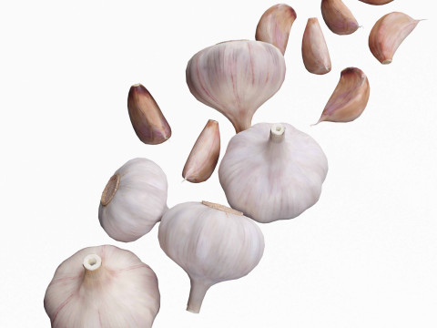 Garlic full and half both 3D Model