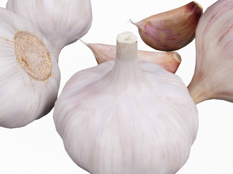 Garlic full and half both 3D Model