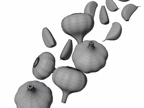 Garlic full and half both 3D Model