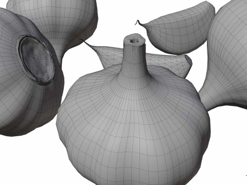 Garlic full and half both 3D Model