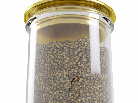 Jar Coriander Model 3D