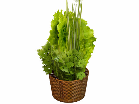 Leafy Greens Model 3D