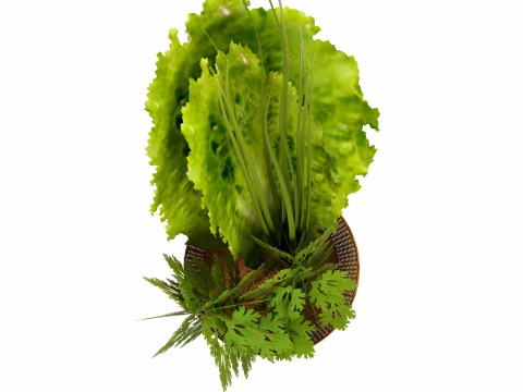 Leafy Greens 3D Model