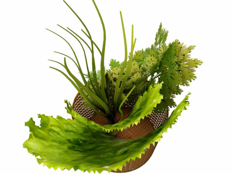 Leafy Greens 3D Model