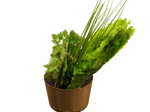 Leafy Greens 3D Model