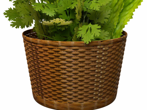 Leafy Greens 3D Model