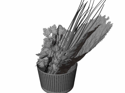 Leafy Greens 3D Model