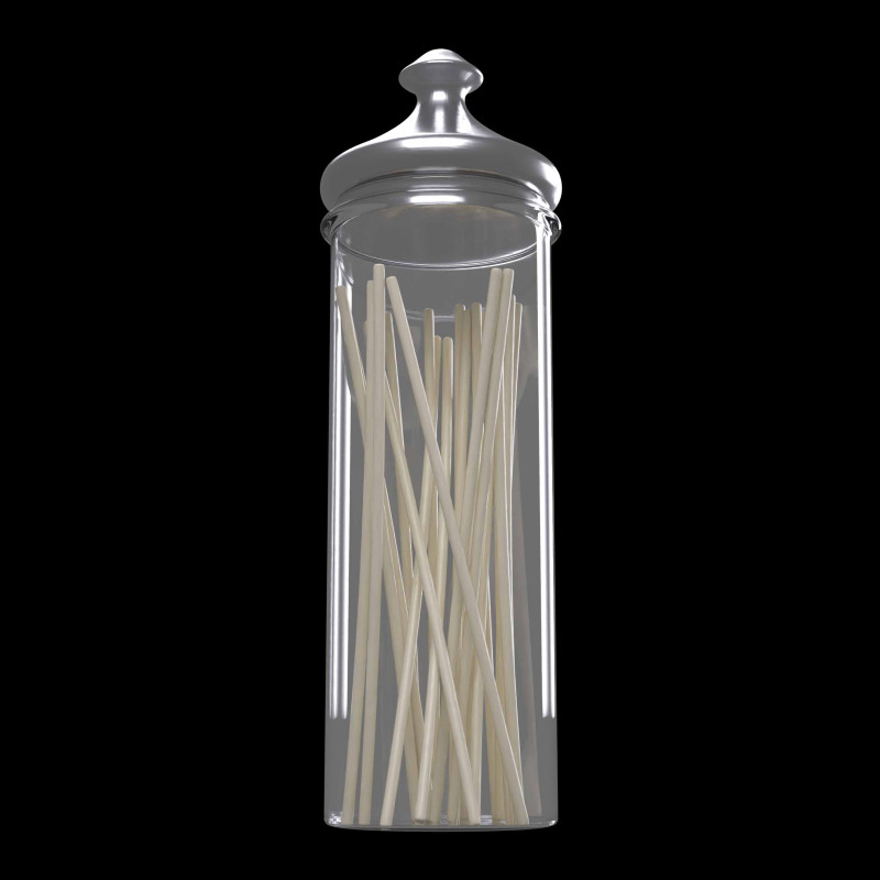 Noodles Jar Model 3D .c4d .max .obj .3ds .fbx .stl .blend 