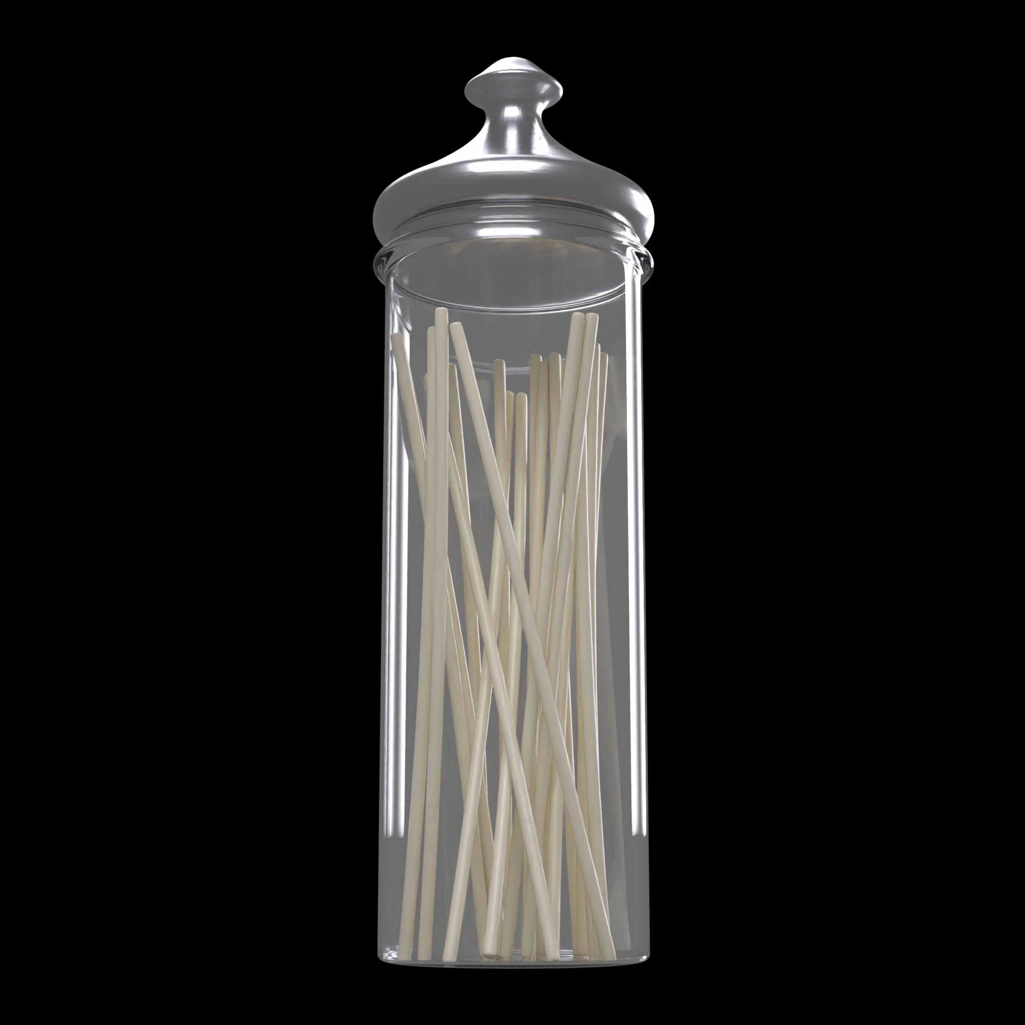 Noodles Jar 3D Model .c4d .max .obj .3ds .fbx .stl .blend 