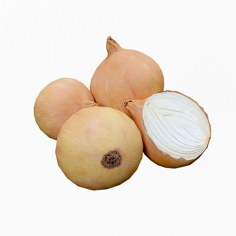 Onion Model 3D .c4d .max .obj .3ds .fbx .stl .blend