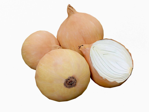 Onion 3D मॉडल