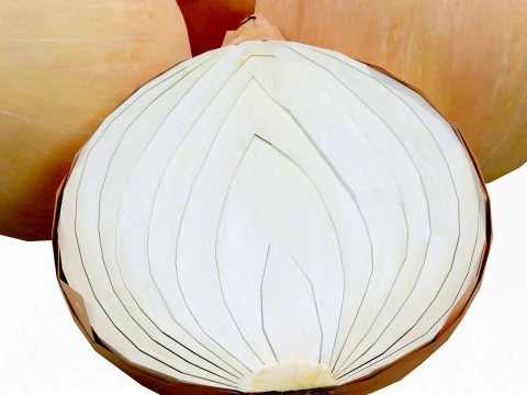 Onion 3D Model