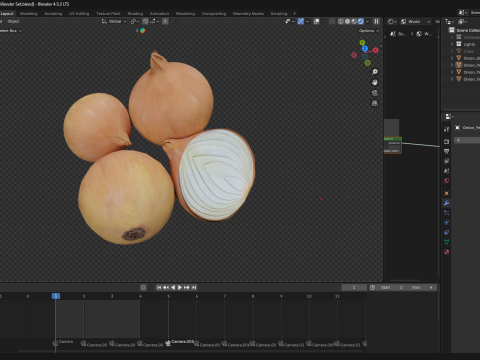 Onion Model 3D