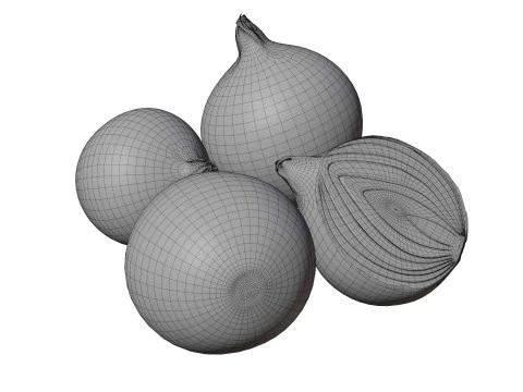 Onion 3D Model