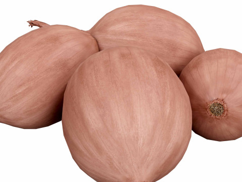 Onions 3D मॉडल