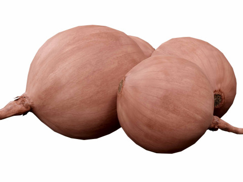 Onions 3D मॉडल