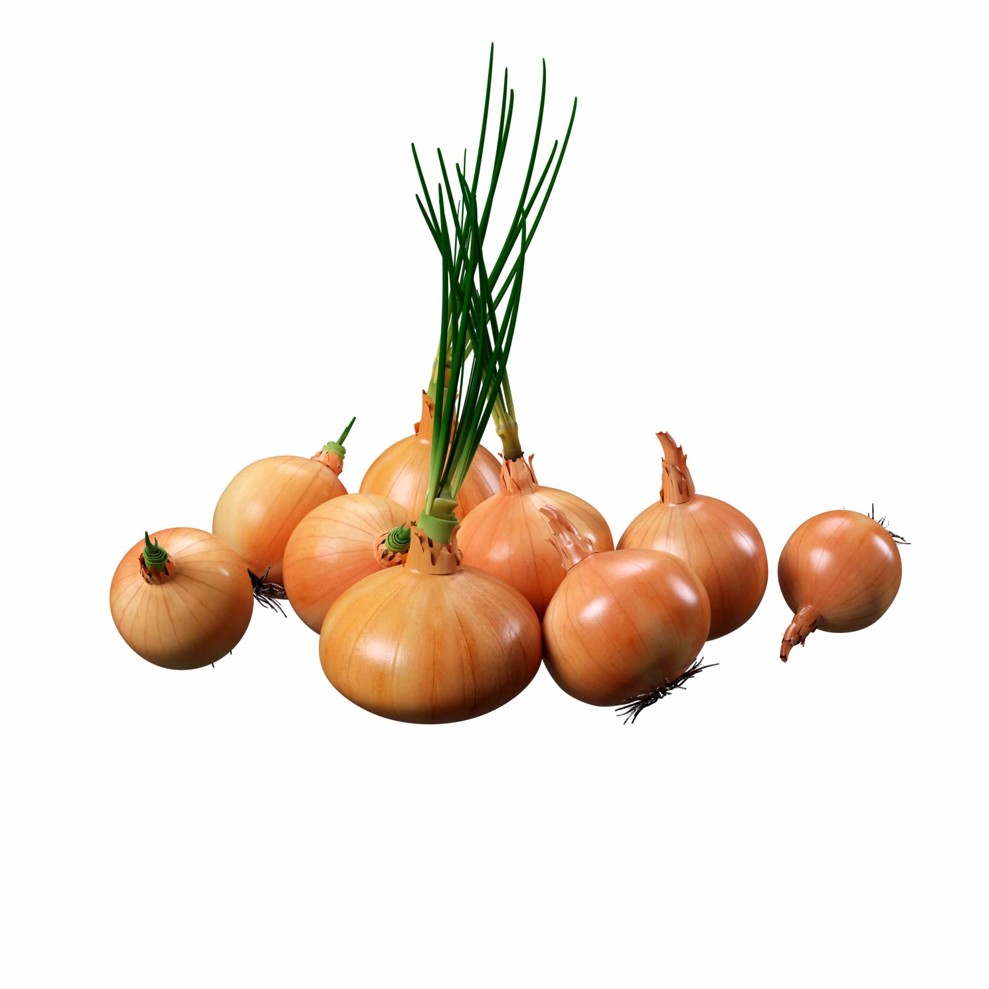 Onion set 3D Model .c4d .max .obj .3ds .fbx .stl .blend 