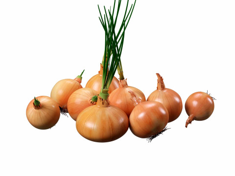 Onion set 3D Model