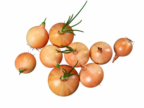 Onion set 3D Model