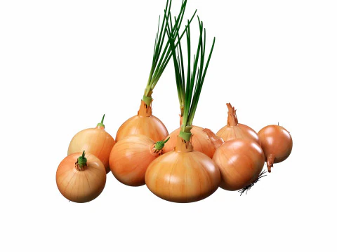 Onion set 3D Model