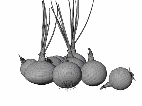 Onion set 3D मॉडल