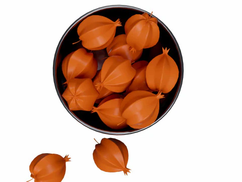 Palm Fruit 3D Model