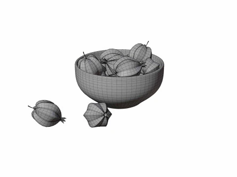 Palm Fruit 3D Model