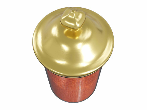 Paprika 3D Model