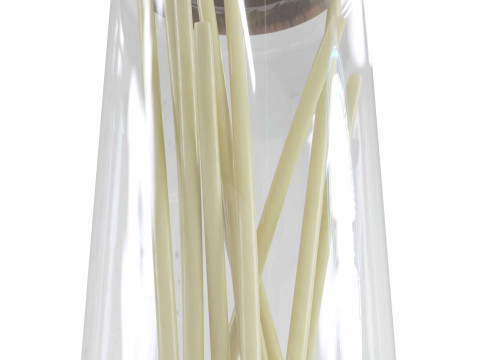 Pasta jar with pasta 3D 模型