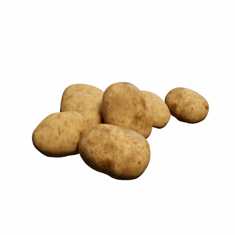 Photorealistic potato Modello 3D .c4d .max .obj .3ds .fbx .stl .blend