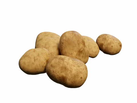 Фотореалістична картопля 3D Модель