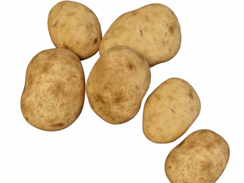 Photorealistic potato 3D Model