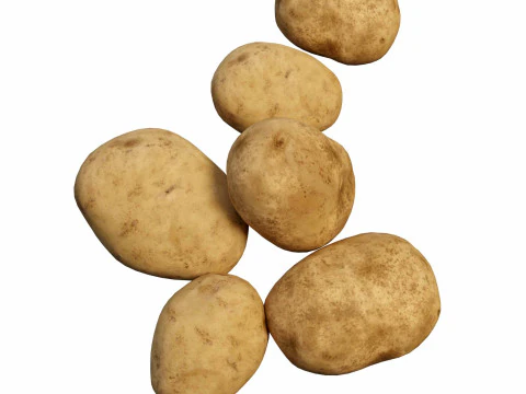Photorealistic potato 3D Model