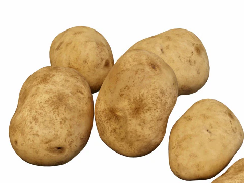 Photorealistic potato 3D Model