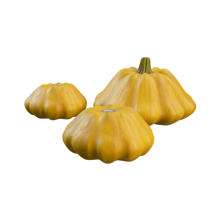 Stylized Pumpkin Set 3D Model .c4d .max .obj .3ds .fbx .stl .blend
