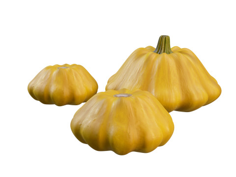 Stylized Pumpkin Set Modello 3D