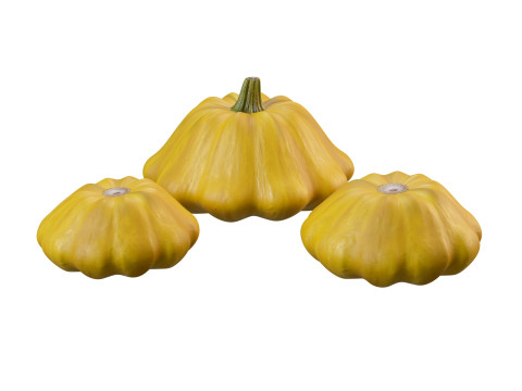 Stylized Pumpkin Set 3D Model