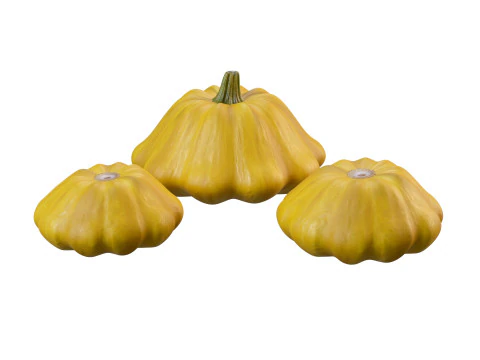 Stylized Pumpkin Set 3D Model
